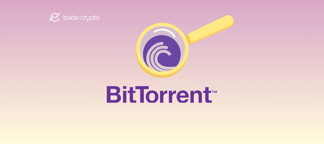 What is a BitTorrent
