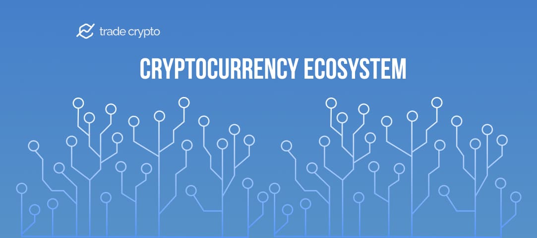 Cryptocurrency Ecosystem