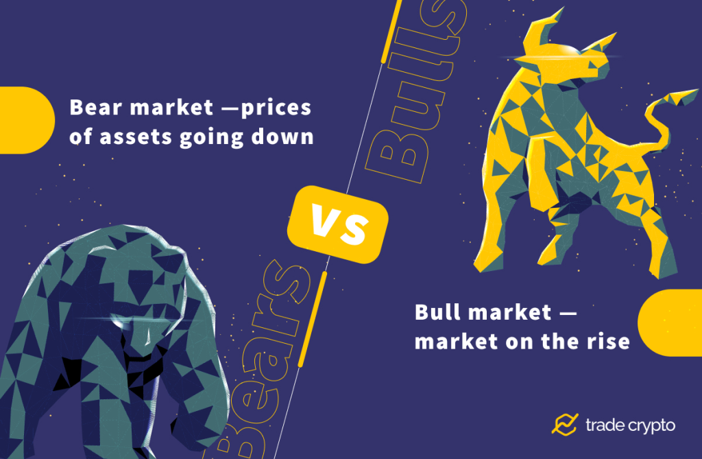 Bears and bulls market