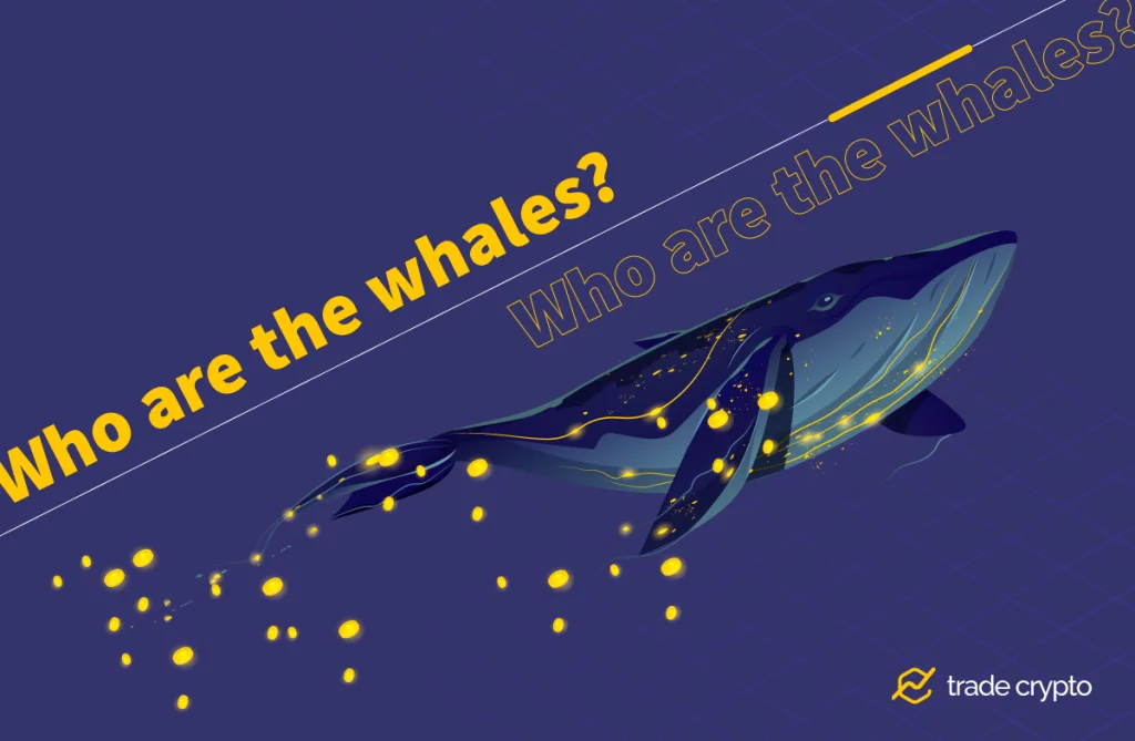 Whales in crypto
