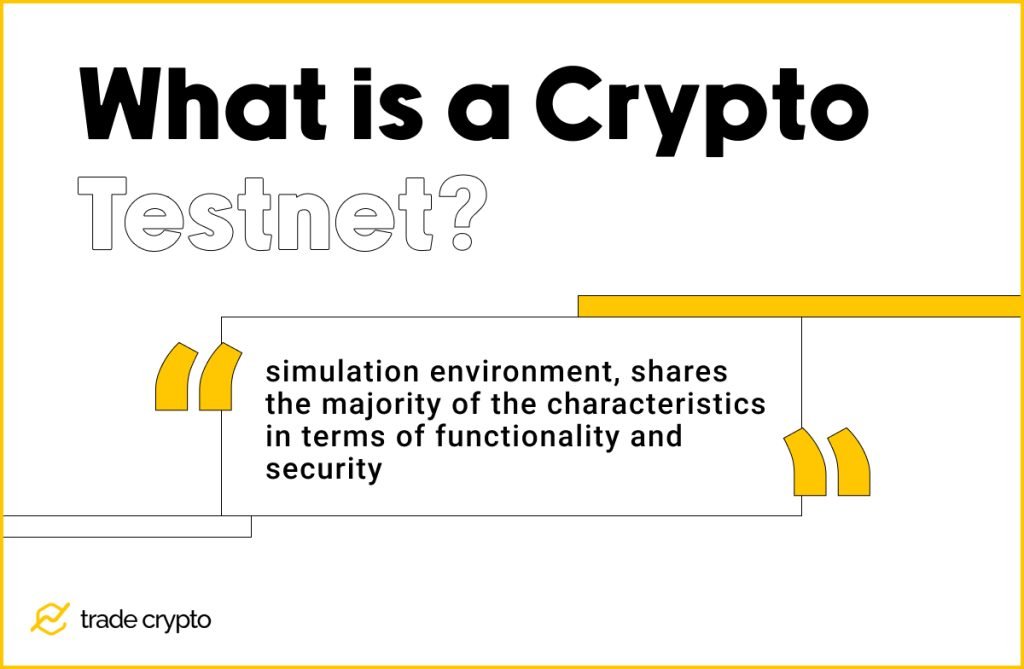 What is a Crypto Testnet