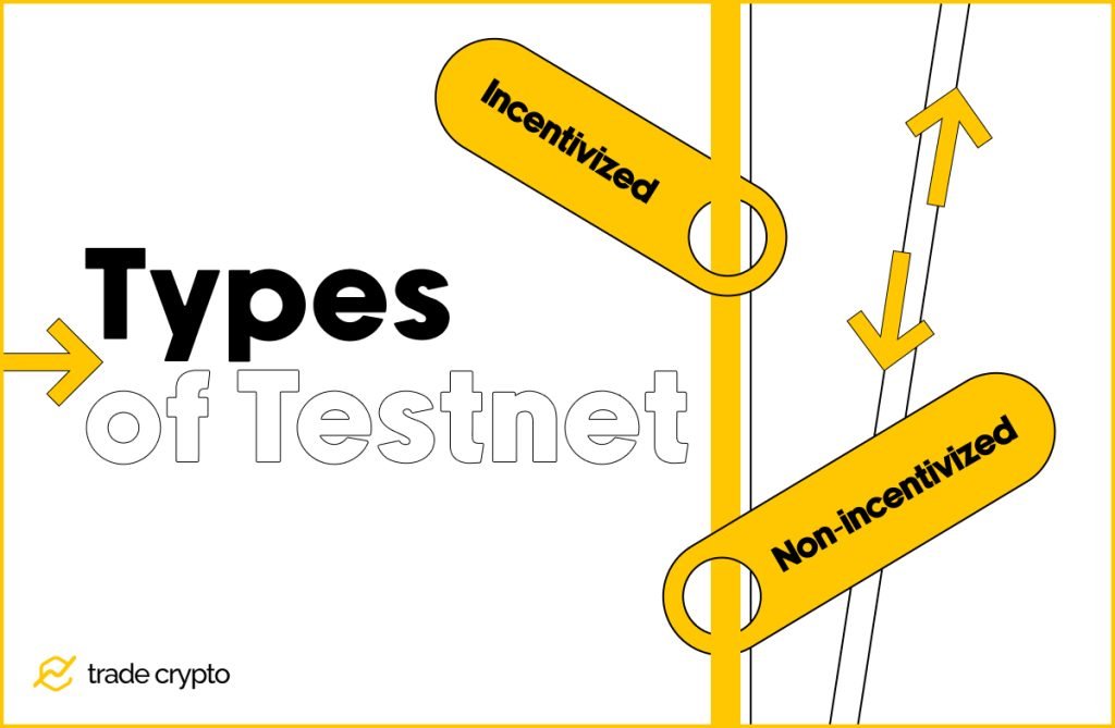 Types of Testnet