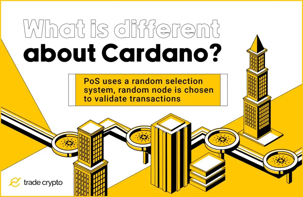 What is different about Cardano
