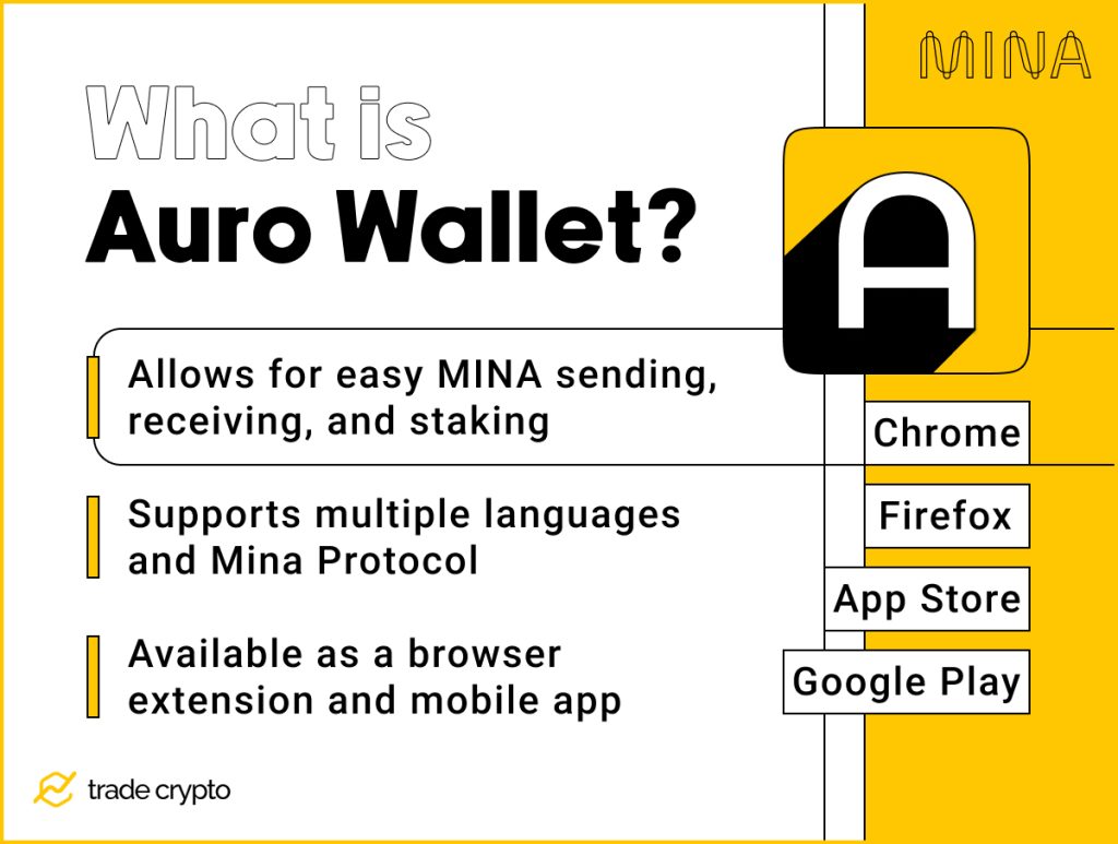 What is Auro Wallet?